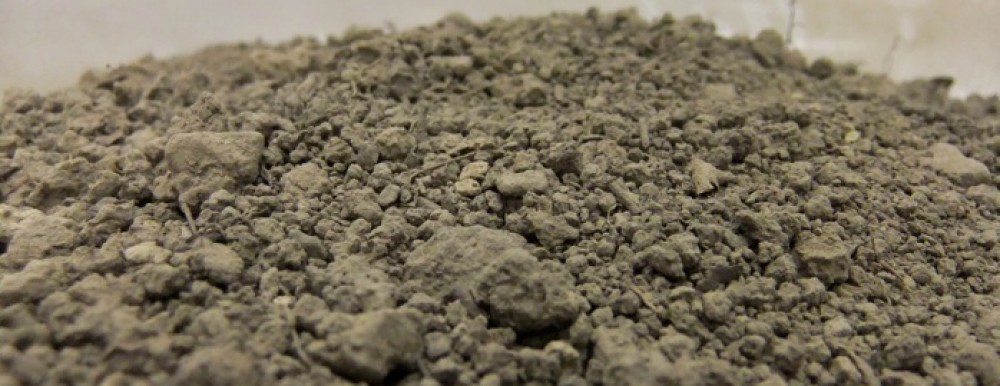 cropped-shapeimage_13.jpg
