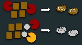 Priming microbes