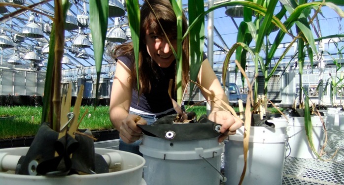 Greenhouse pots
