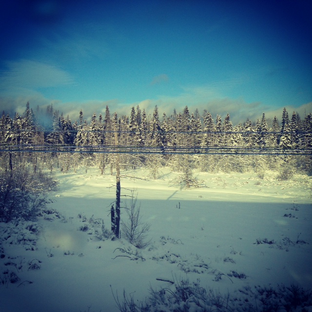 My view from the train from Halifax to Toronto this year