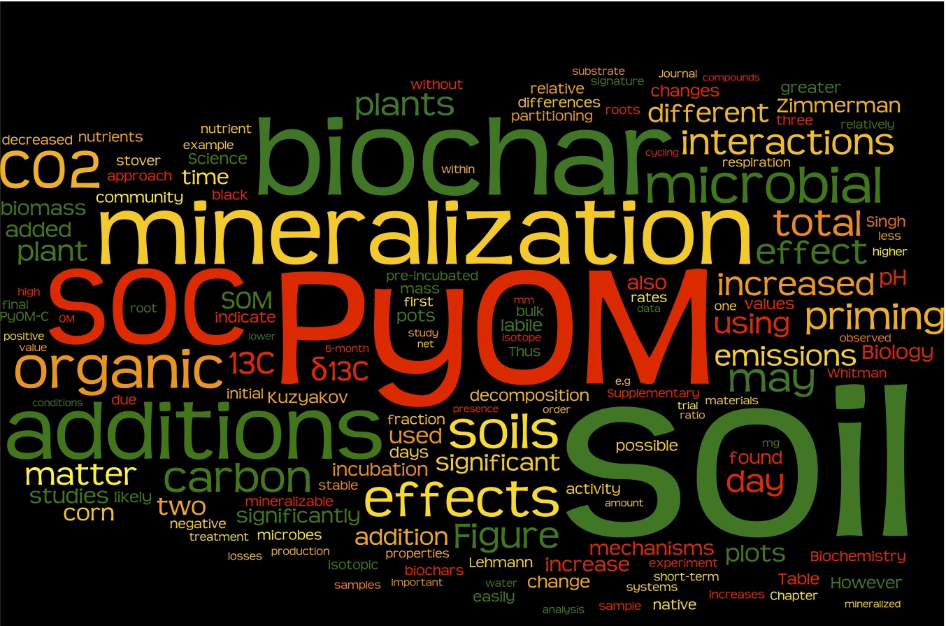 Dissertation Wordle