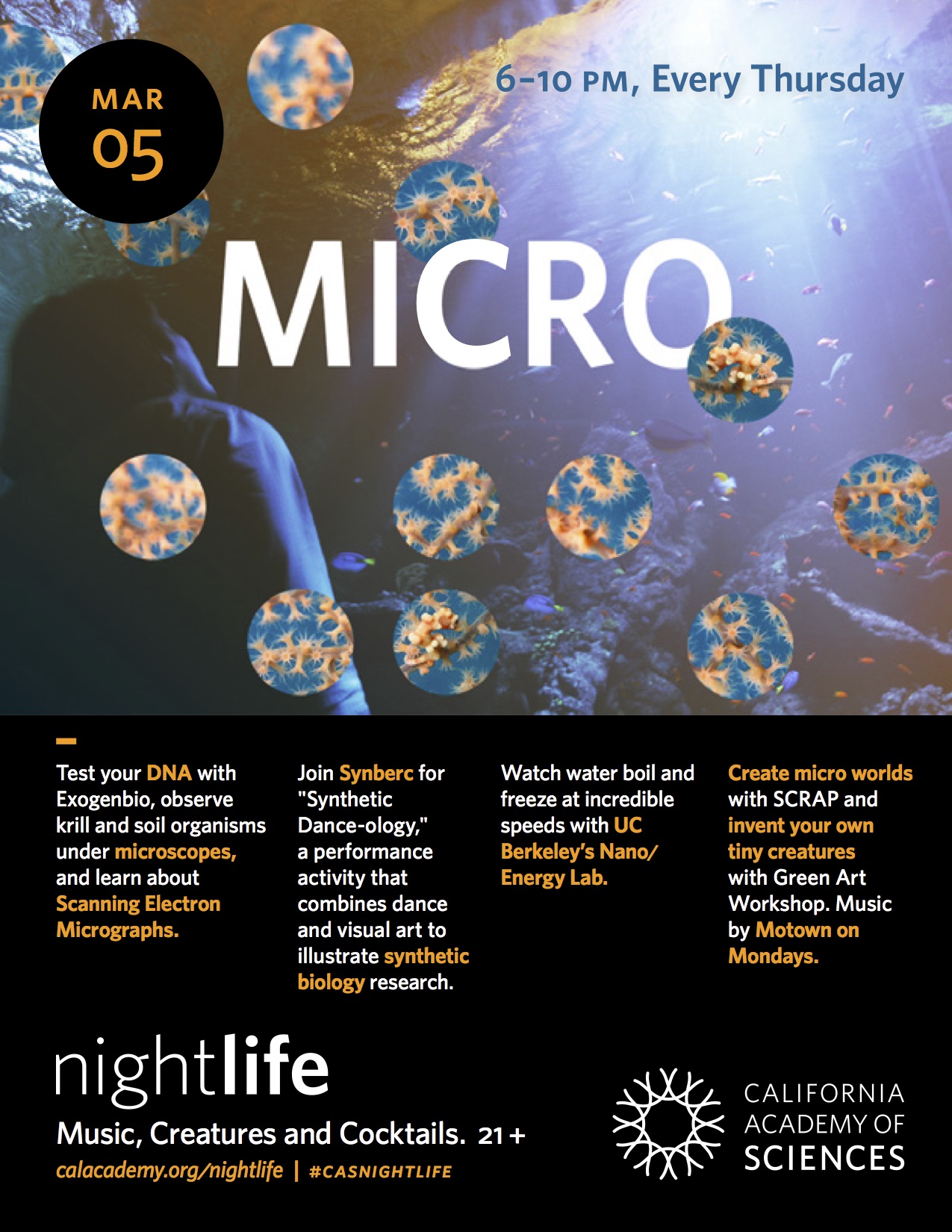 Micro_NL_Flyer
