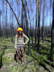 Ready to measure depth to permafrost with a metal spike